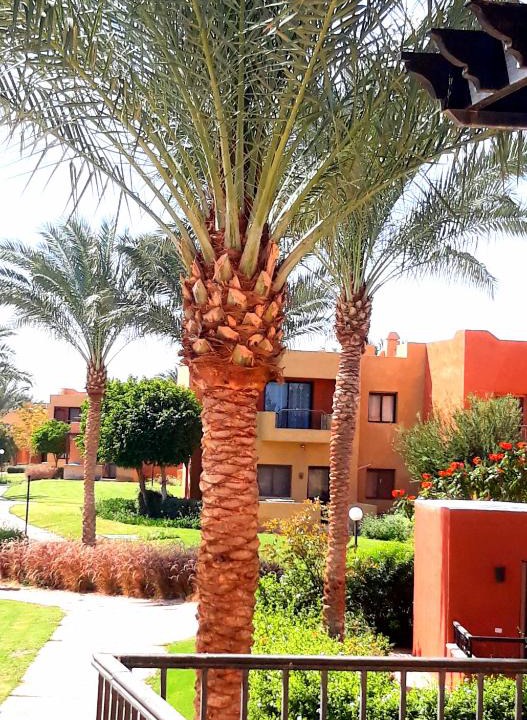 Makadi Bay Apartment | Апартаменты в Хургаде, Stella Makadi