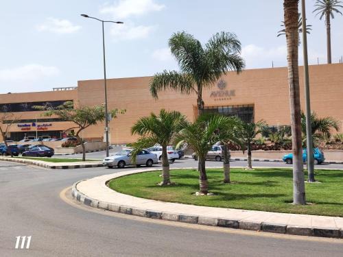 New Cairo Apartment | Al Rehab City, avenue Mall Group129 bulding7 5thCASA MIA