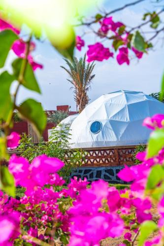 Al Bawiti Hotel | B&W SAHARA SKY CAMP