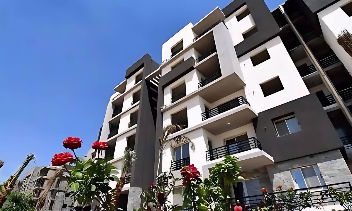 Sheikh Zayed City Apartment | Spacious Apartment in Sheikh Zayed