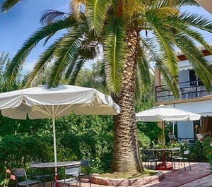 Kostas Ferienwohnung Vom Strand Agios Georgios Pagi Entfernt Pagon 