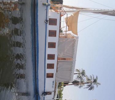 Luxor Bed & Breakfast | 1Water Lily