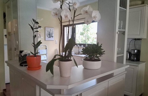 Voula Apartment | 3BR Greek Riviera Escape | Near Voula Beach & Athens Riviera