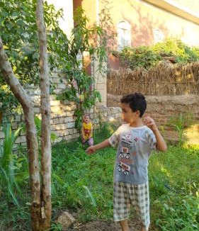 Tima House | Al Saeed Family Hostel
