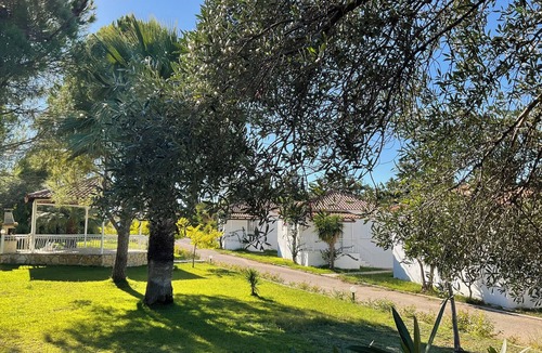 Leivathos House | Bungalow Kefalonia: four 2 bedroom bungalows in Spartia on a spacious territory