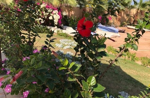 Al Ahyaa Apartment | Captain beach Resort