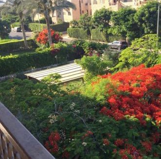 Marina El Alamein Ski Chalet | Chalet in Marina 6 District 31