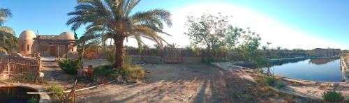 Bawati House | Elysium farm house in Bawiti