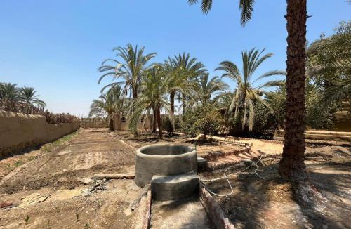 Luxor Other | Gamandy Eco-Lodge