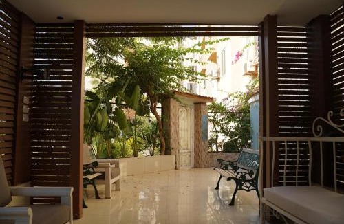 Sheikh Zayed City Apartment | Garden Home, luxury apartment in prime zayed