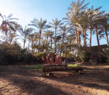 Saqqara Apartment | Khan Saqqara - Private place Steps from Saqqara Pyramid