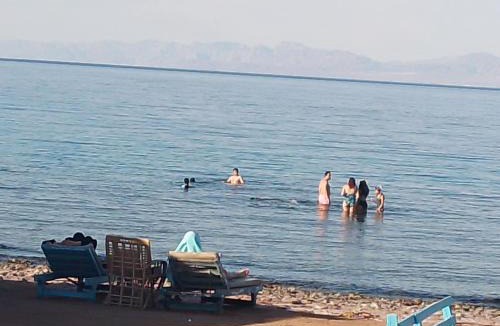 Wasit Resort | Luna beach camp