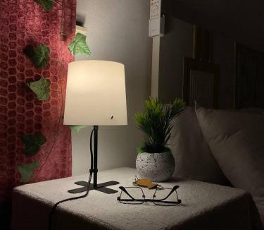 Al Manial House | Manial Comfort Guest House