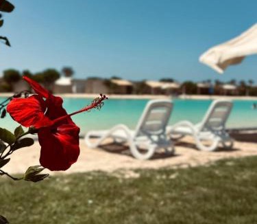 Sidi Abd El-Rahman House | Modern Cabana in Hacienda Bay, North Coast by Vagaza Hospitality
