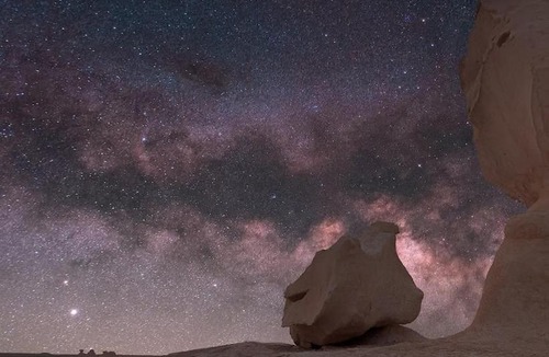 Bawati Other | Over night camping at white desert ,Two days safari trip
