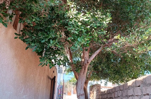 Dahab House | Private Studio in Dabab, 10 mins to sea