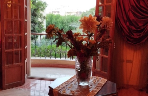 Al Haram Bed & Breakfast | pyramids kingdom