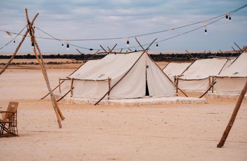 Al Fayoum Other | Tzila Camp