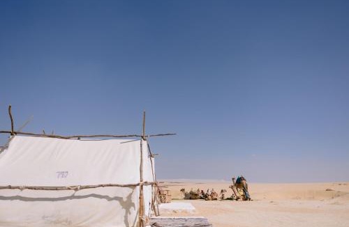 Al Fayoum Other | Tzila Camp