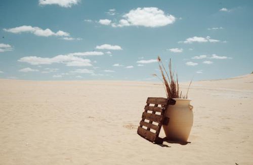 Al Fayoum Other | Tzila Camp