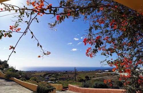 Megalochori Apartment | Vineyards Hill Villa
