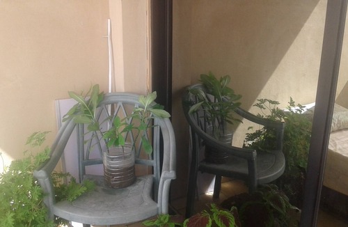 Sidi Jabir House | We can provid our guest with rooms in the heart of Alexandria.