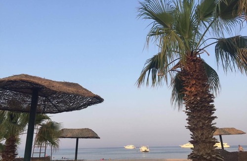 Al Mamsha El Seyahi Apartment | Welcome to the Vacation Apartment