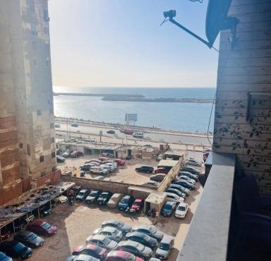 السرايا ستار in Alexandria