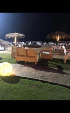 توليب المعمورة