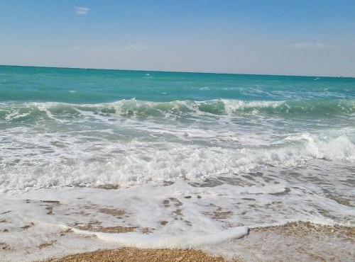شالية رويال بيتش كونكورد راس سدر in Ras Sedr