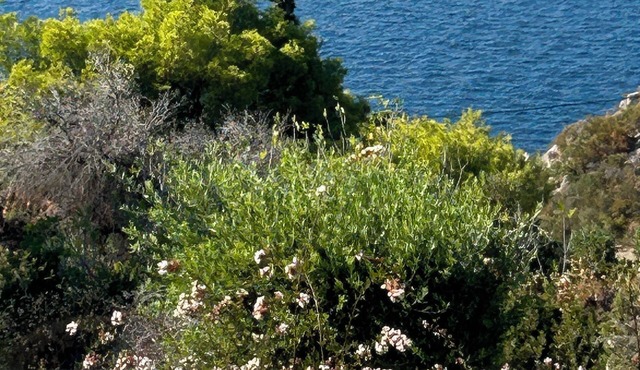 A very nice villa with special sea view ! in Theologos