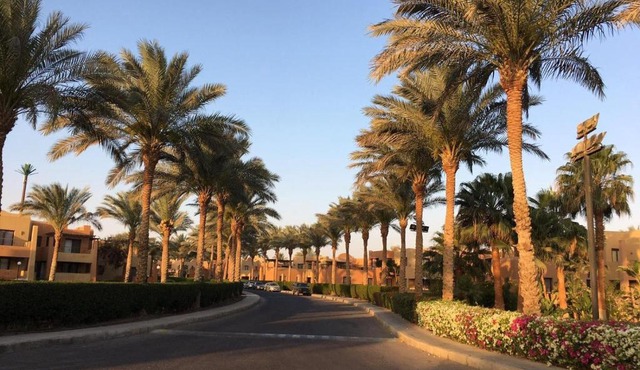 Apartment in Stella di Mare Hurghada