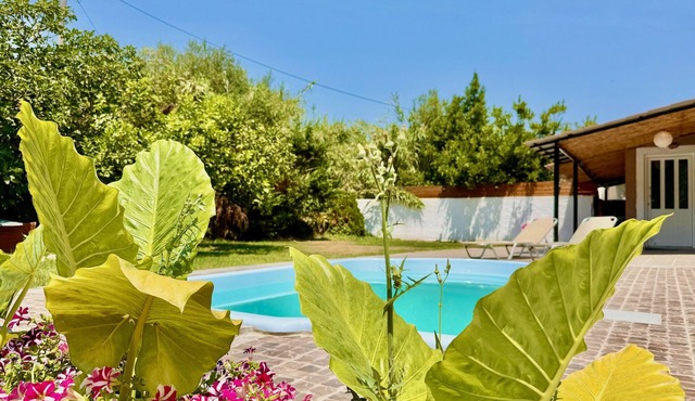 Beach Villa Night Flower with private pool in Dassia