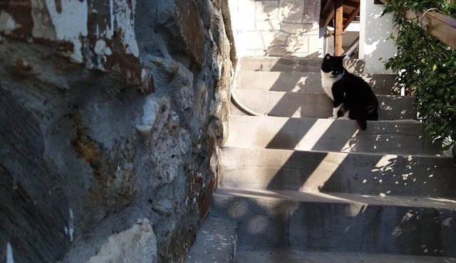 Beautiful Petrino 1880 in Agios Nikolaos