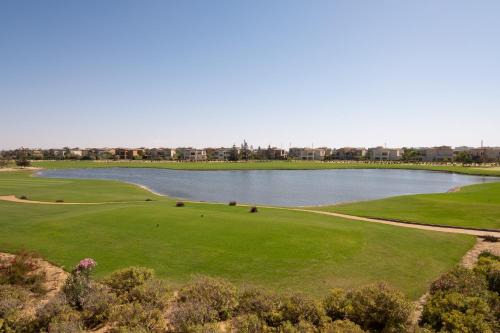 BIRD NEST - Marassi Verdi