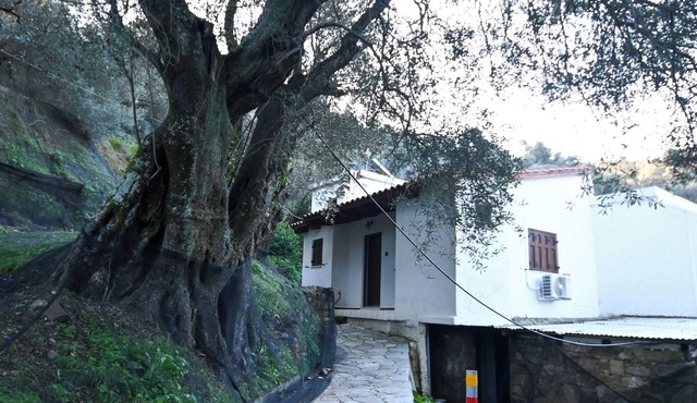 Chania Hillside 2BD Home – Nature & Comfort by ΜΡS in Plemeniana