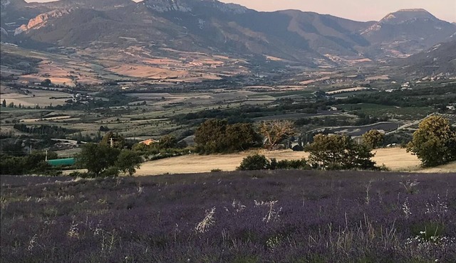 Charming Cycladic Farm in Exampela
