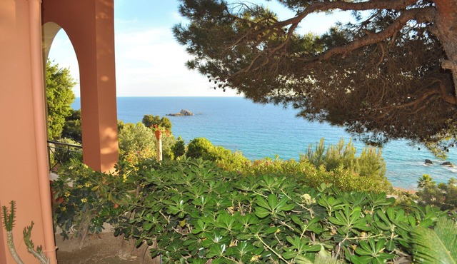 Charming Studio Apartments with Swimming Pool near Pelekas Beach in Pelekas
