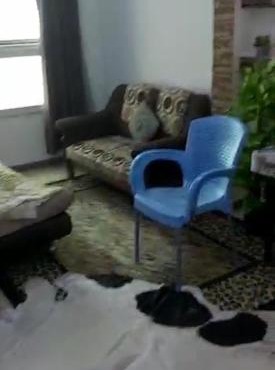 Cozy Apartement for Rent in Sidi Gaber Alexandria in Alexandria