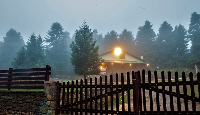 Dandy Villas Elatodasos - Chalet Artemis - Fir Forest - Jeep & Nature Lovers in Delphi