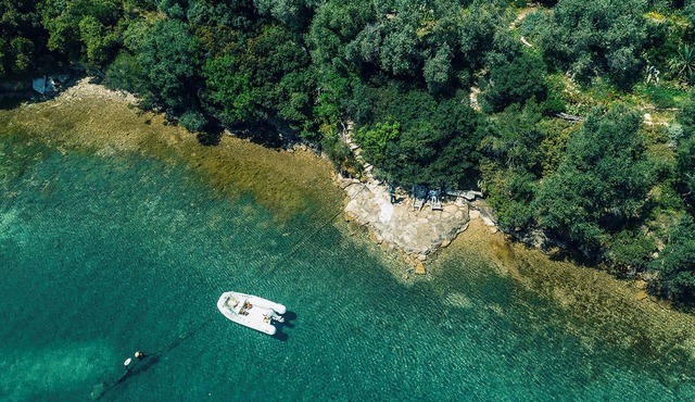 Happinest Treehouse - A magical cabin by the sea with amazing views. in Magnesia