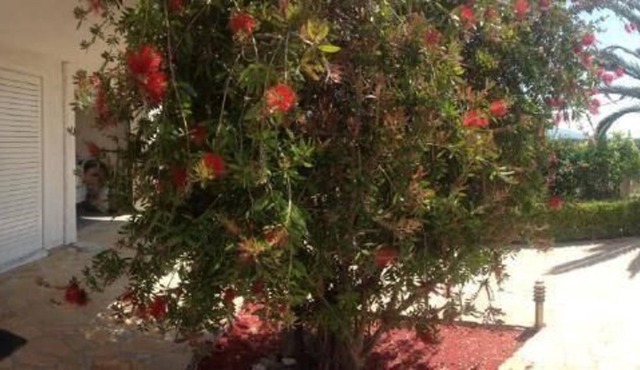 Holiday apartment Eretria Evia for 1 - 3 persons with 1 bedroom - Holiday apartment in Eretria Evia