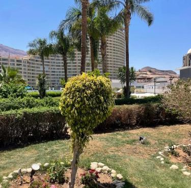 It is a Porto sokhna in Ain Sokhna
