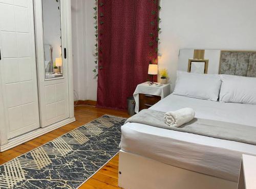 Manial Comfort Guest House in Cairo