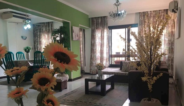 Modern Apartment in the heart of Cairo city & nearby City Stars Mall in cairo