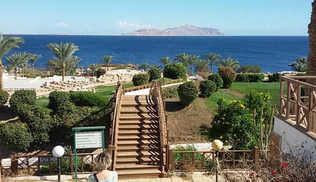 NEMO chalet, sea view, Sharks Bay, Sharm el Sheikh in Sharm el-Sheikh
