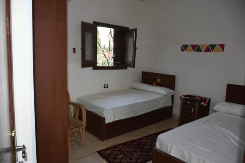 Nobal best house in Aswan