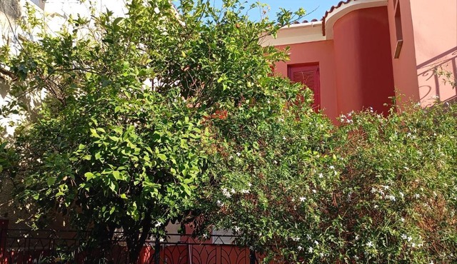 P & G Apartment in Pámfylla
