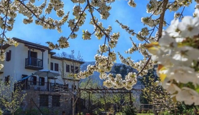 Pelion Maisonette in Tsagkarada
