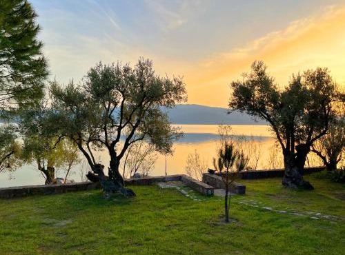 Seafront Traditional Stone House in Sunset Olive Grove - B in Alyfantá